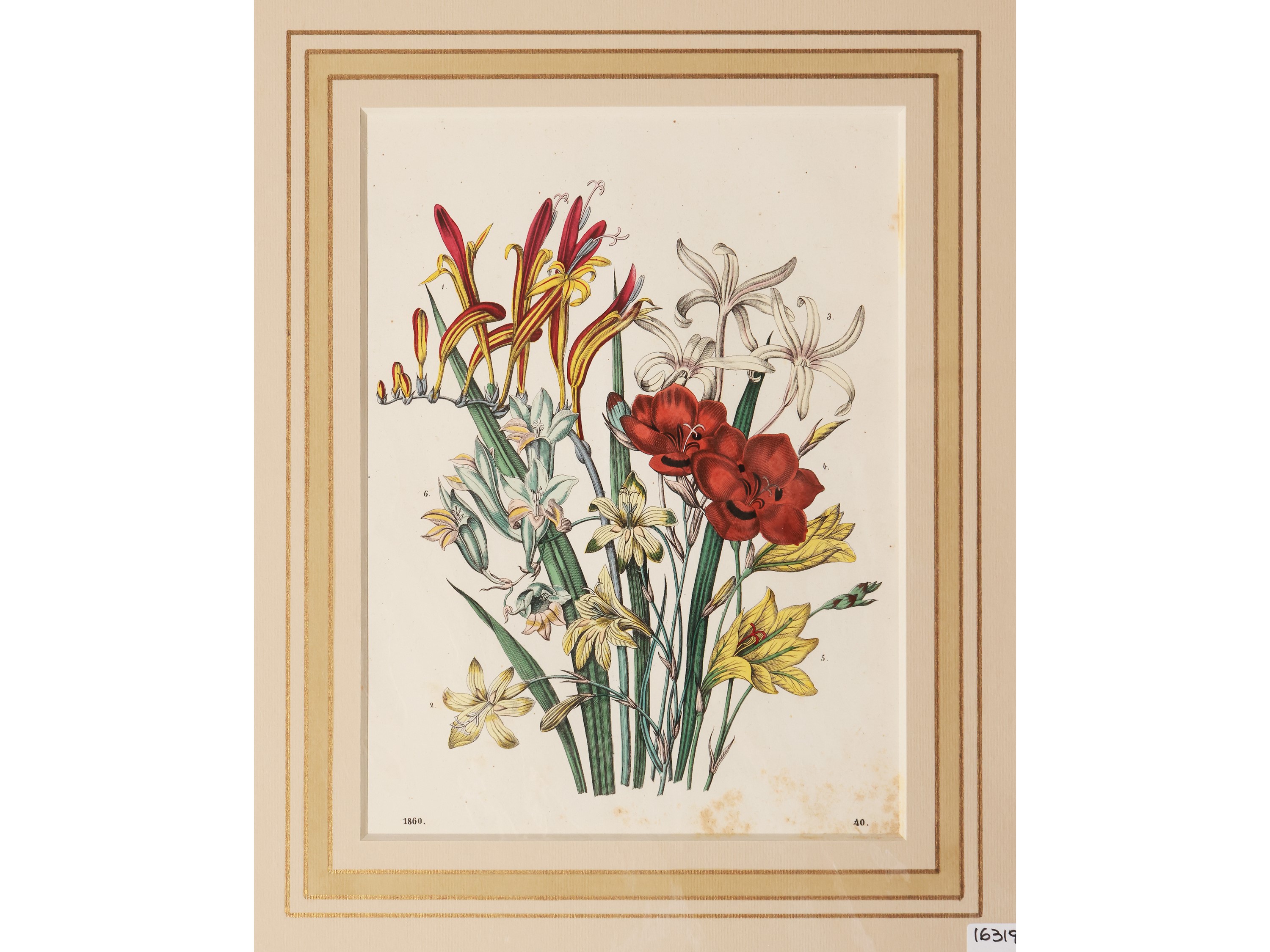 Fiori