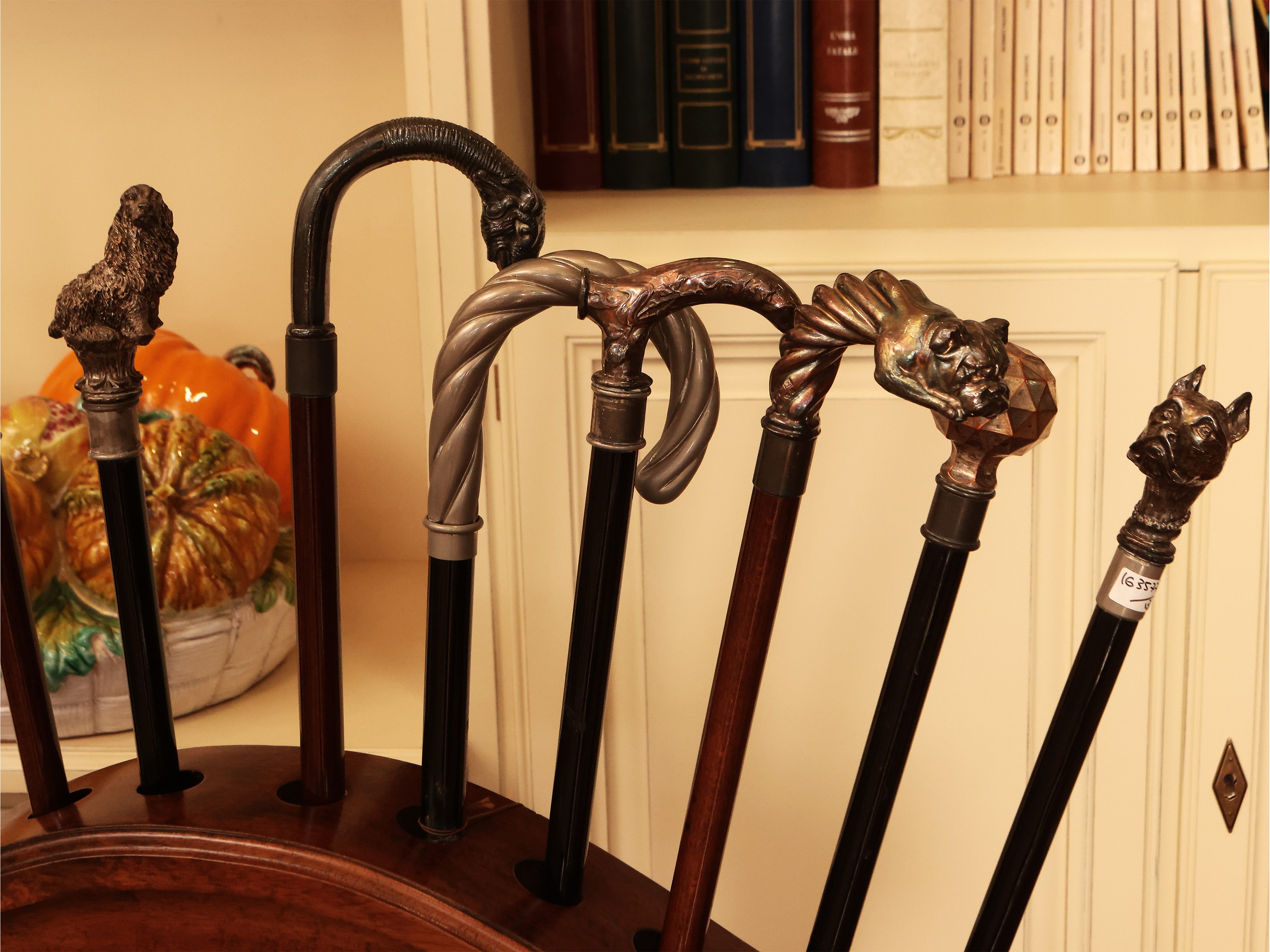 Collezione di Dodici Bastoni da Passeggio