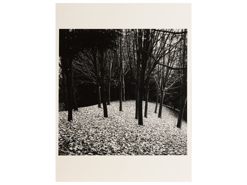 Pino dal Gal - Paesaggio Anni Cinquanta/sessanta