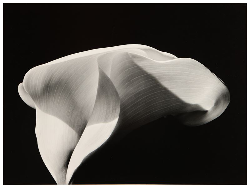 Pino dal Gal - Soul Shapes 2003