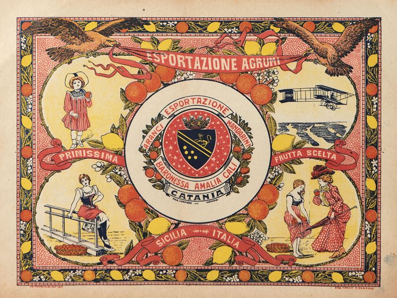 Esportazione Agrumi Baronessa Amalia Cali Catania