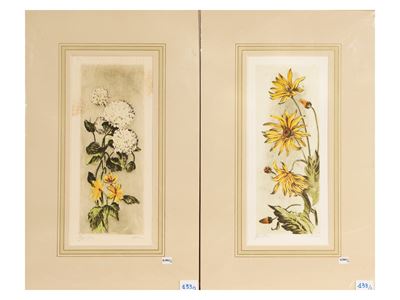 Fiori