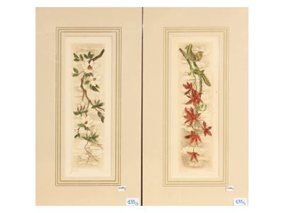 Fiori
