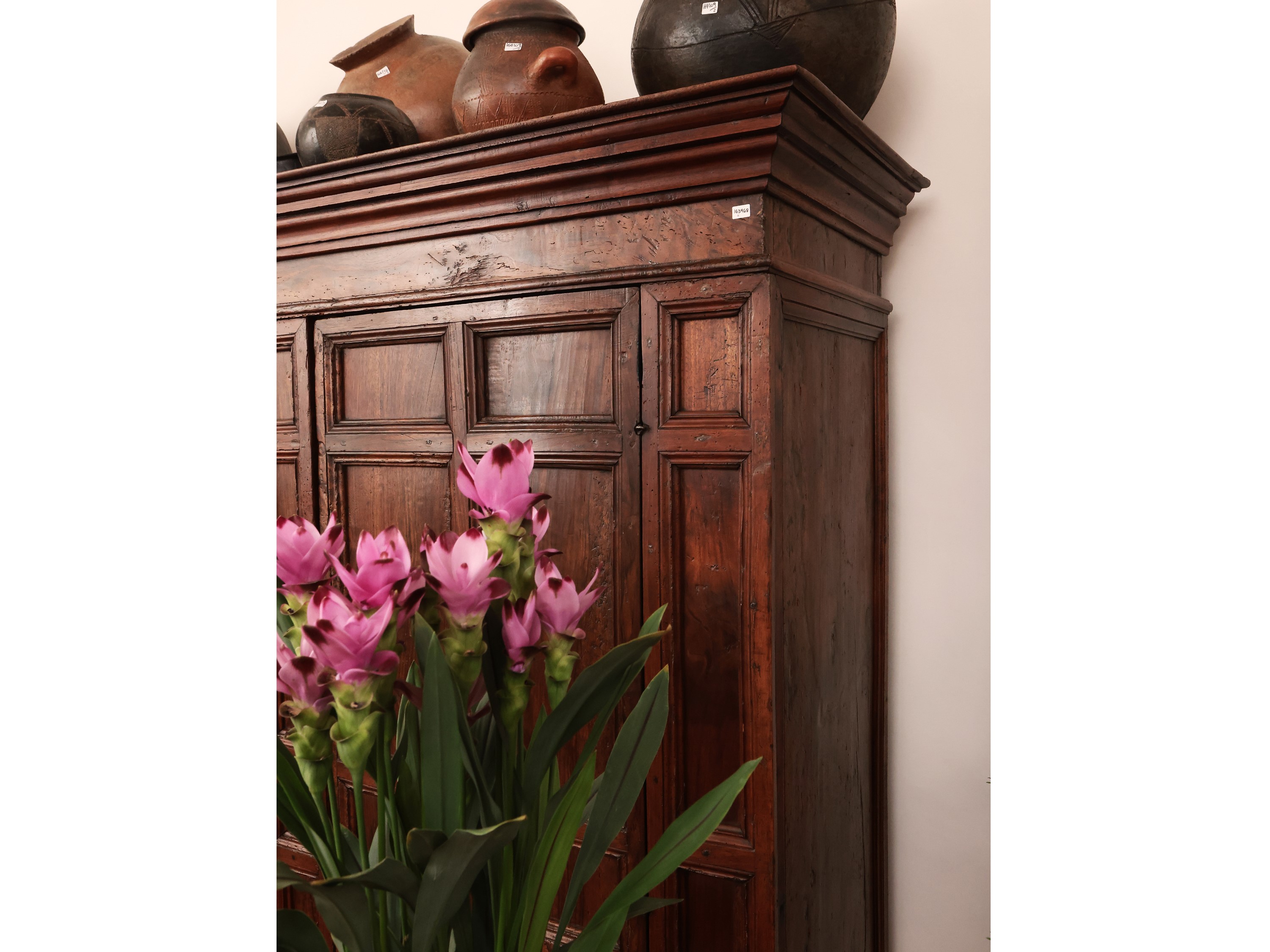 Armadio stipo in noce