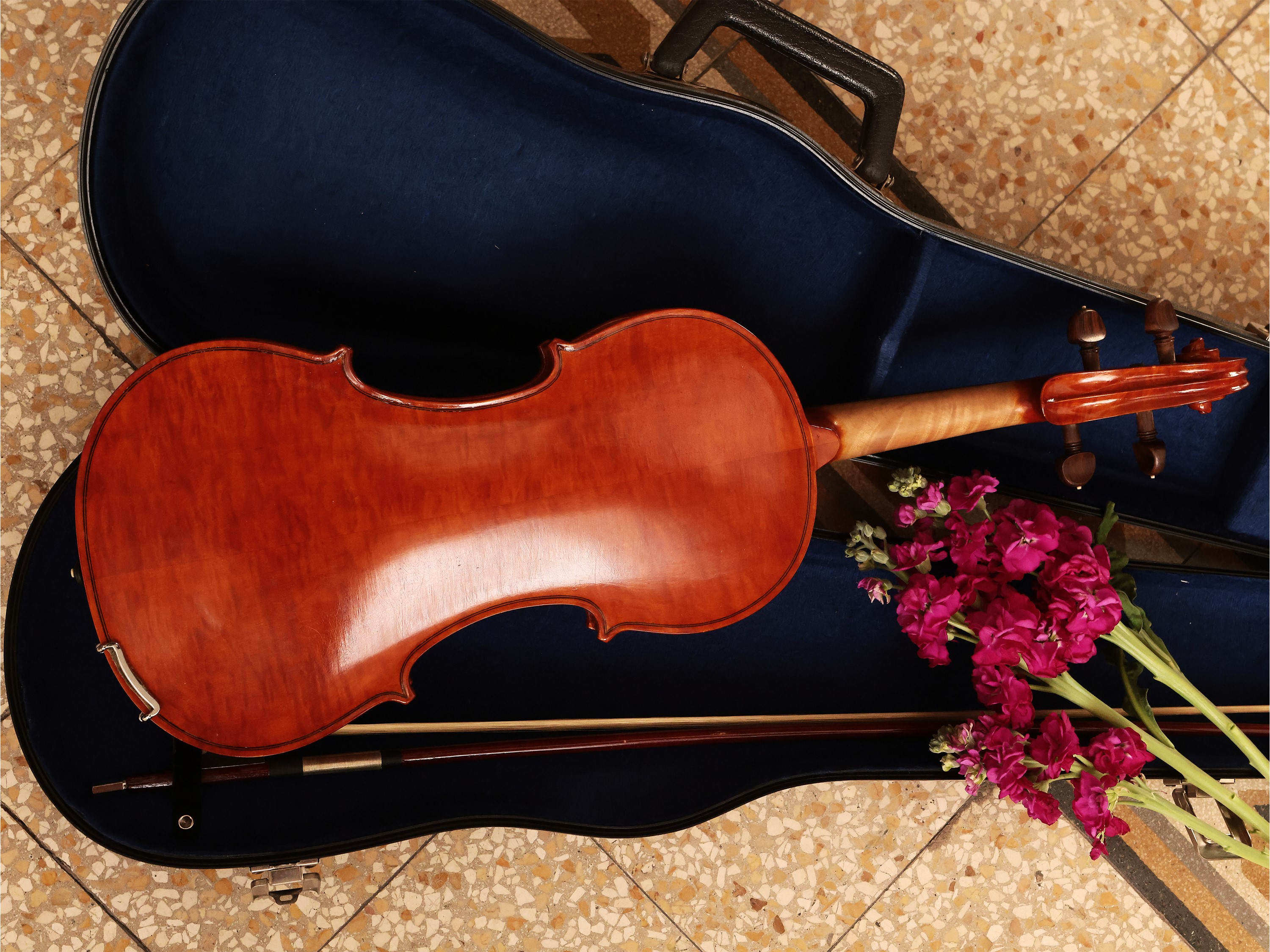 Violino D'epoca