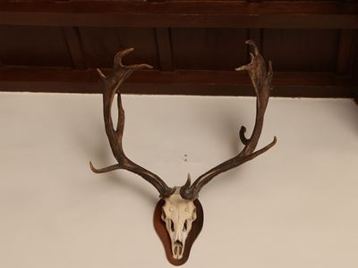 Trofeo di Caccia
