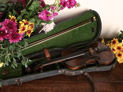 Violino
