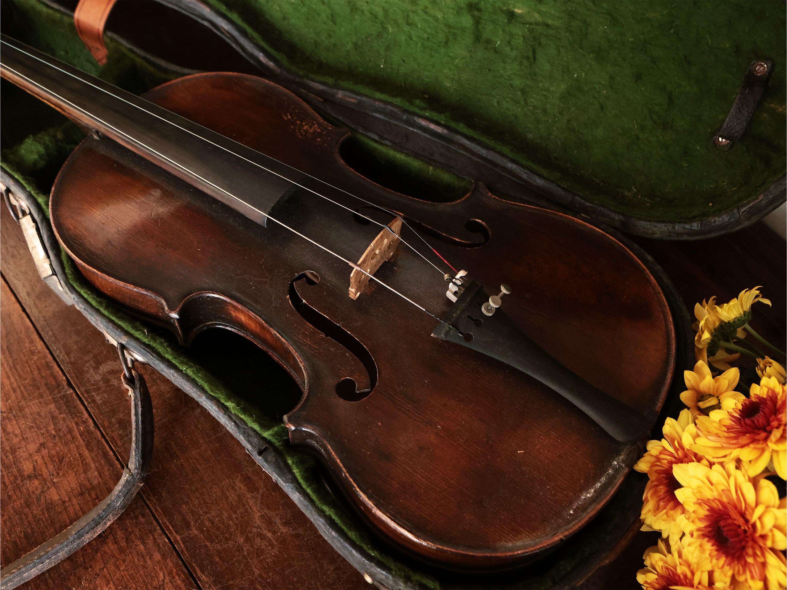 Jérome Thibouville Lamy - Violino