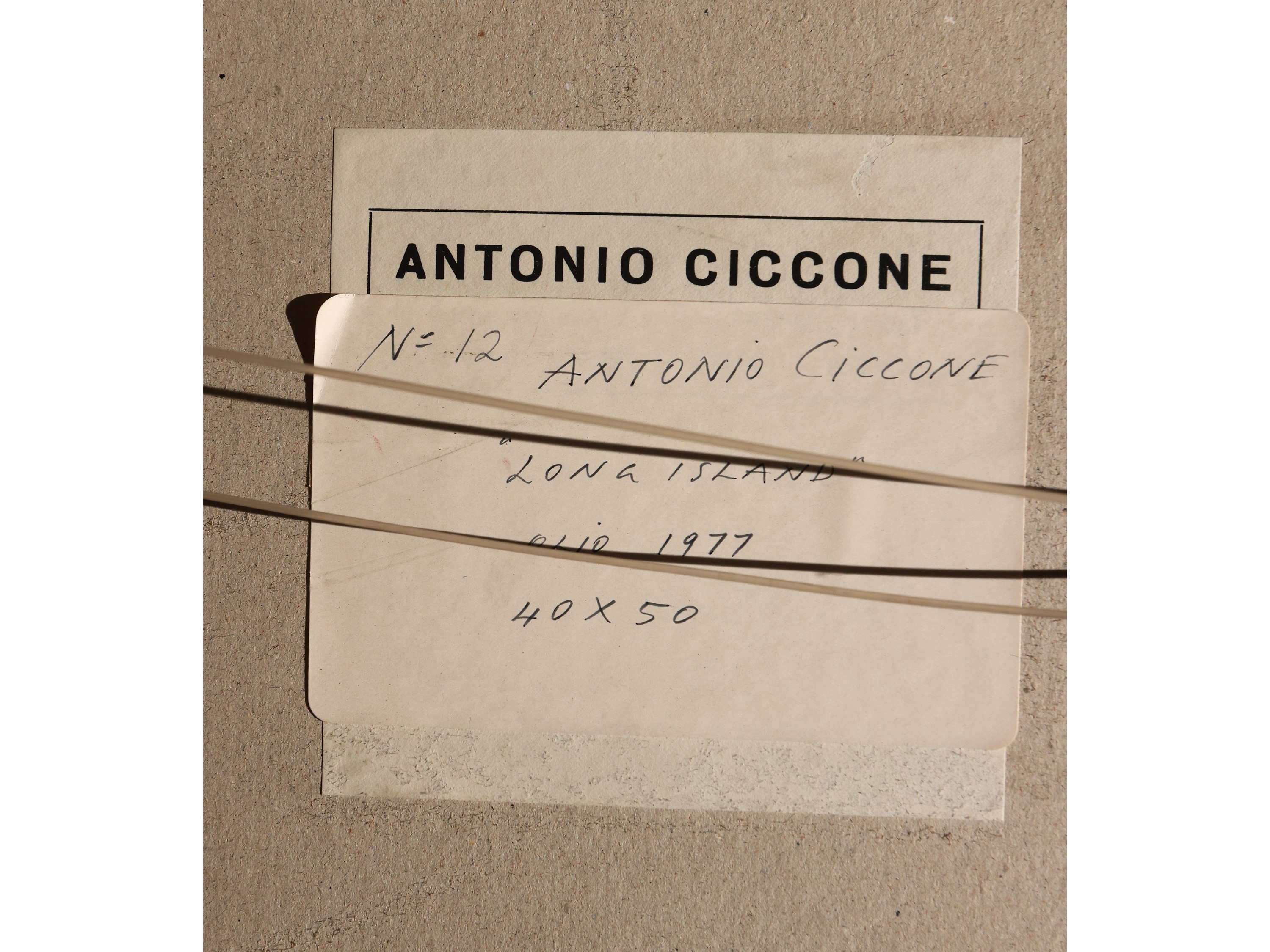 Antonio Ciccone - Long Island 1977