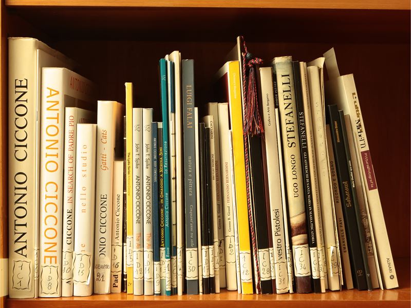 Miscellanea di Libri D'arte
