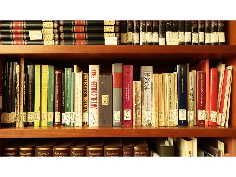 Grande Miscellanea di Libri Moderni di Vario Argomento