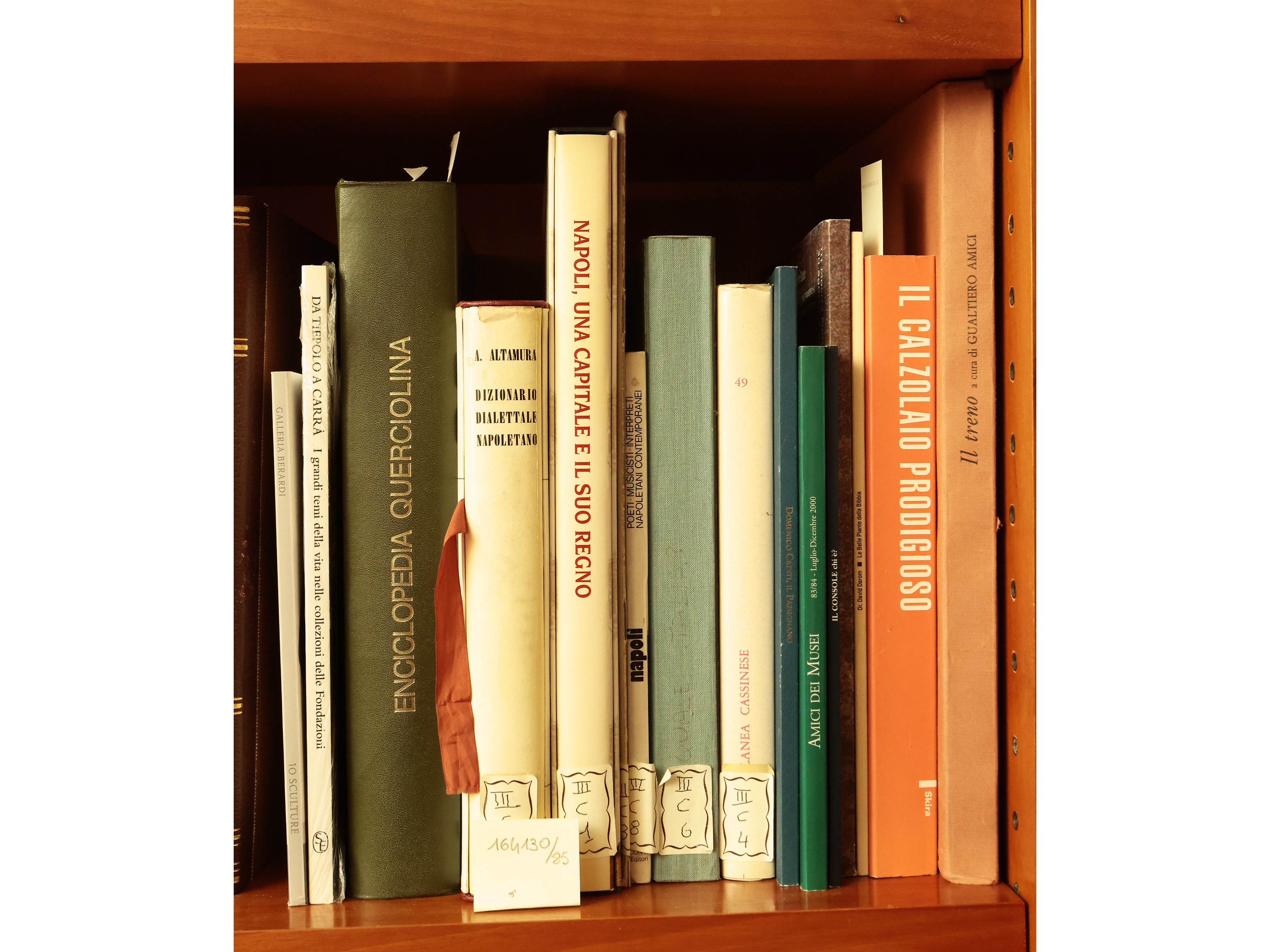 Grande Miscellanea di Libri Moderni di Vario Argomento
