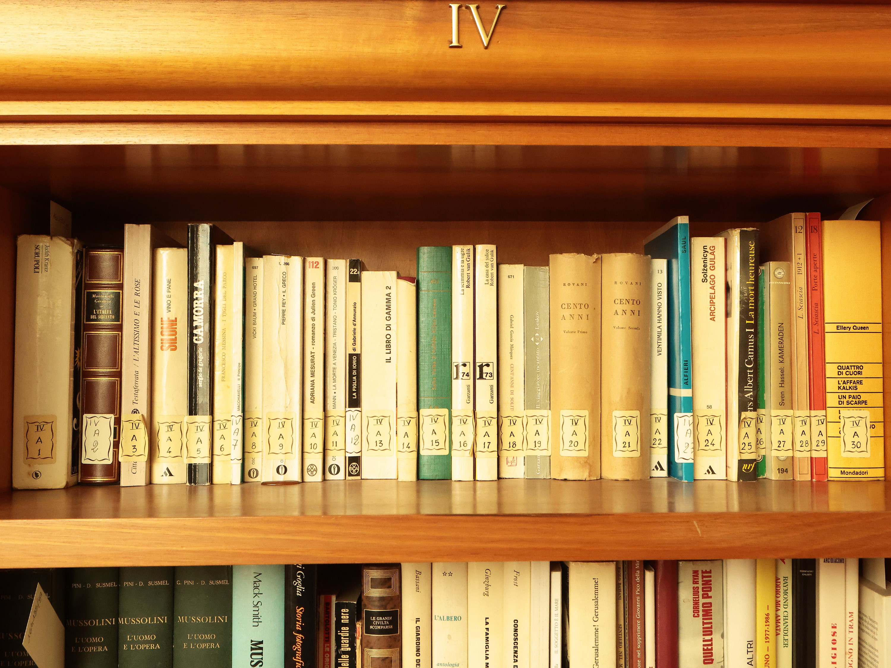 Grande Miscellanea di Libri Moderni di Vario Argomento