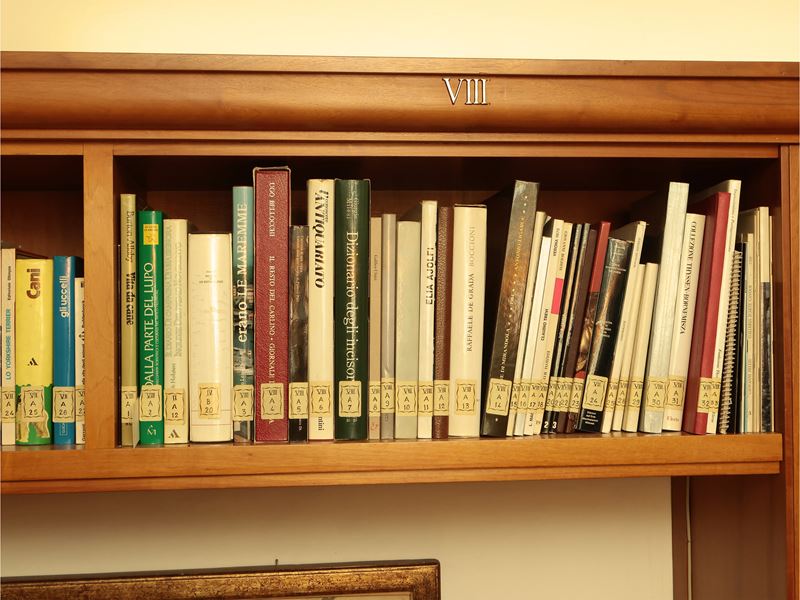 Miscellanea di Libri sugli Animali e le Piante