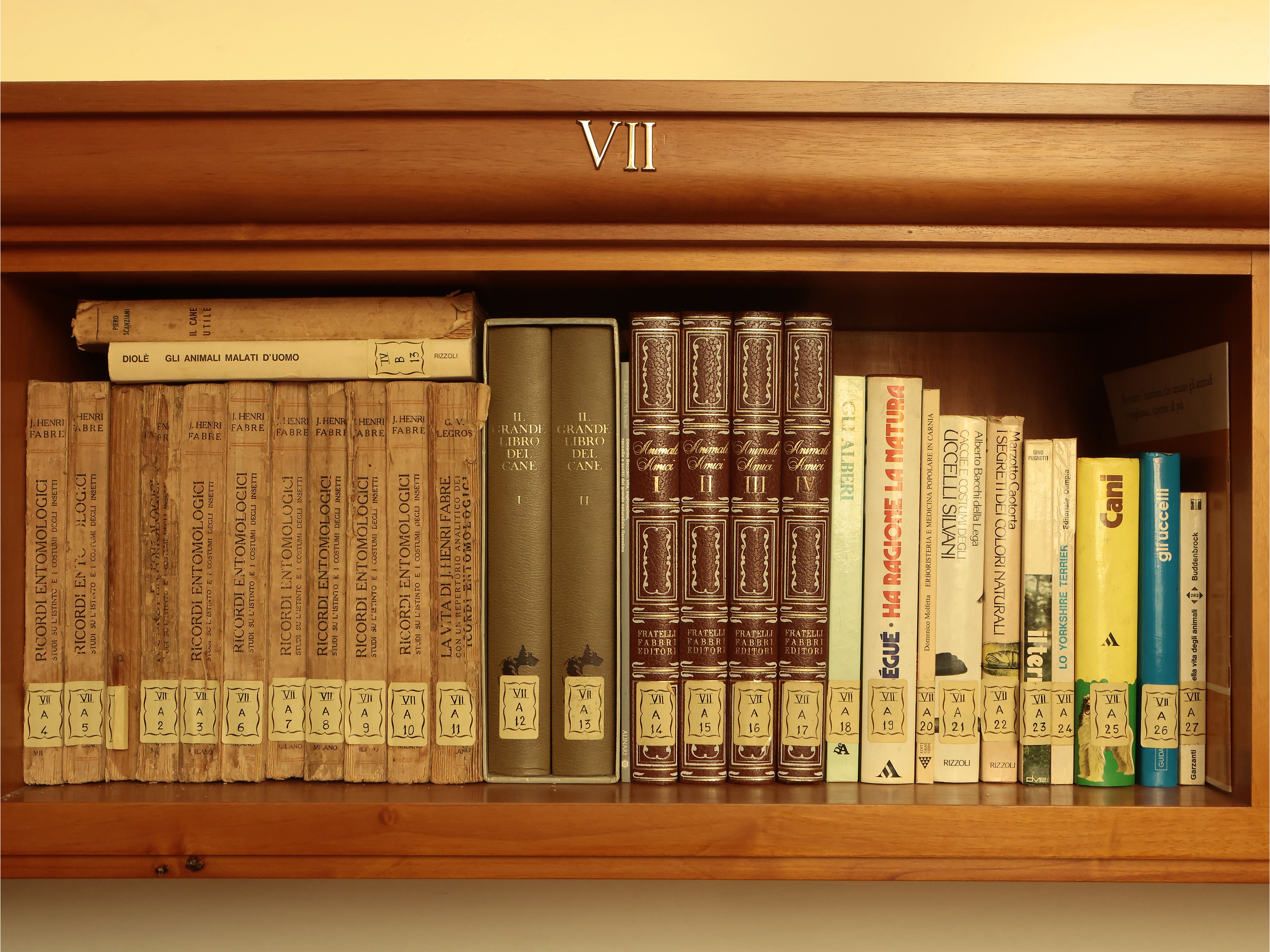 Miscellanea di Libri sugli Animali e le Piante