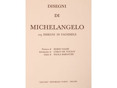 Disegni di Michelangelo: 103 Disegni in Facsimile