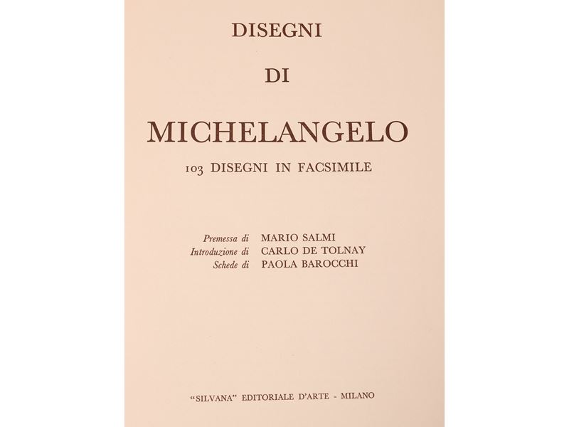 Disegni di Michelangelo: 103 Disegni in Facsimile