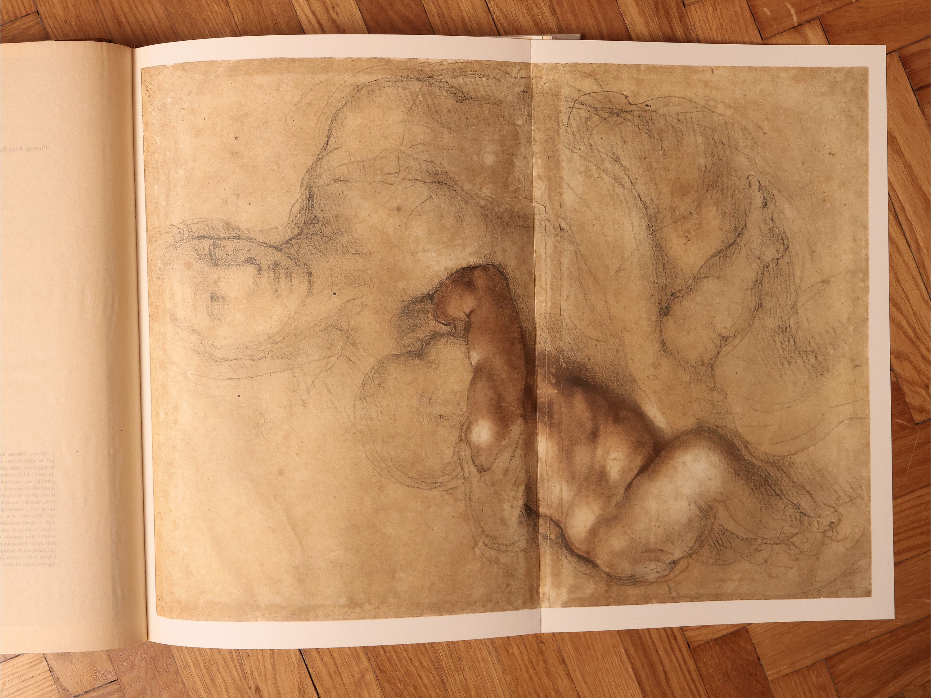 Disegni di Michelangelo: 103 Disegni in Facsimile