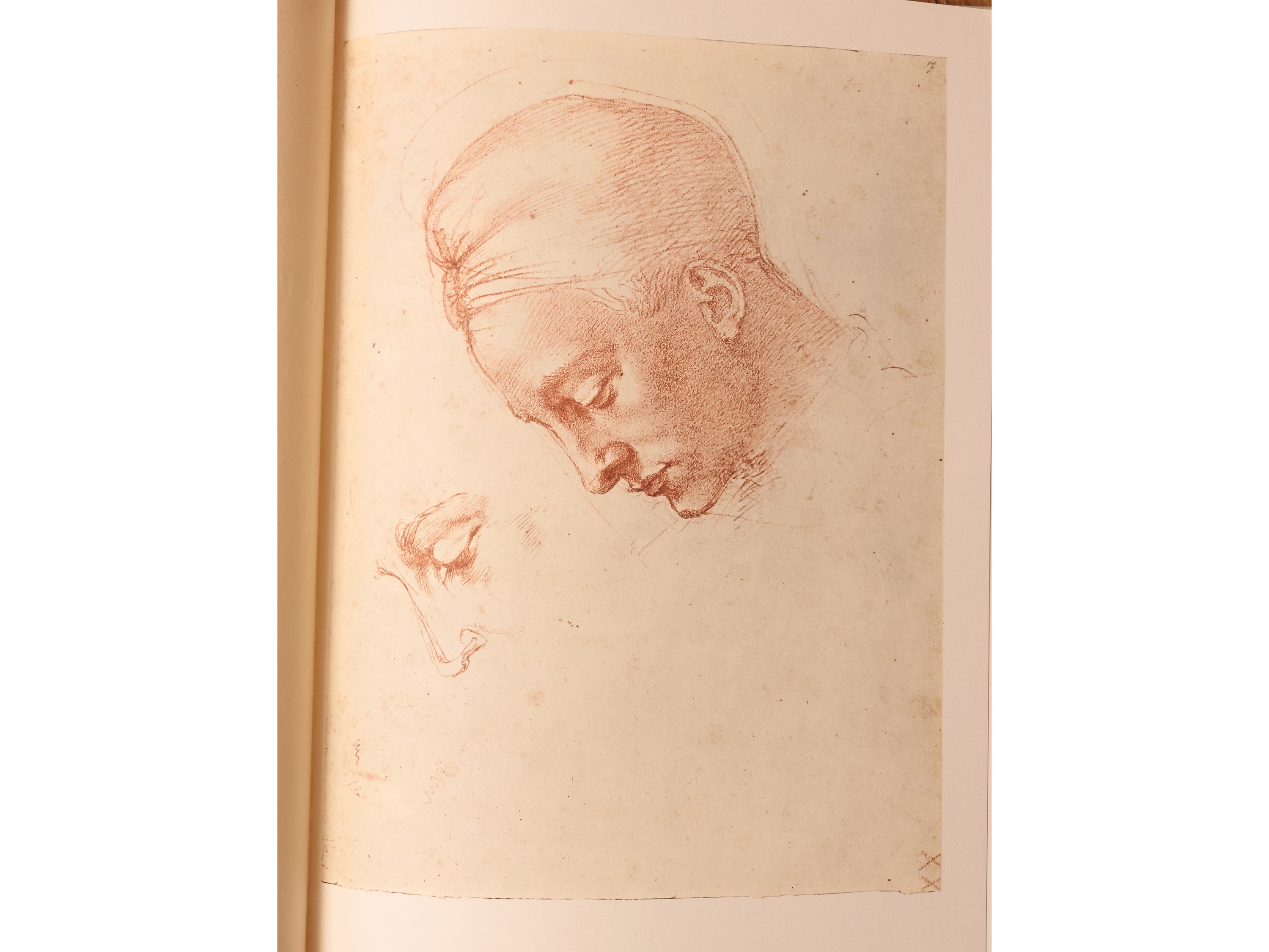 Disegni di Michelangelo: 103 Disegni in Facsimile