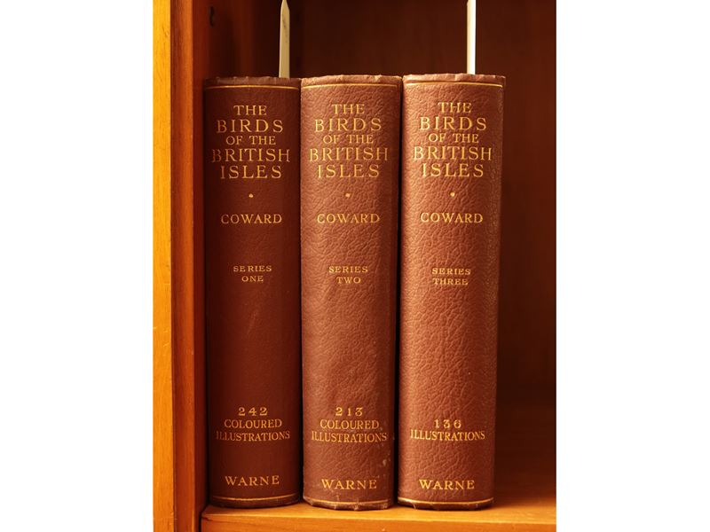 Thomas Alfred Coward - The Birds Of The British Isles And Their Eggs