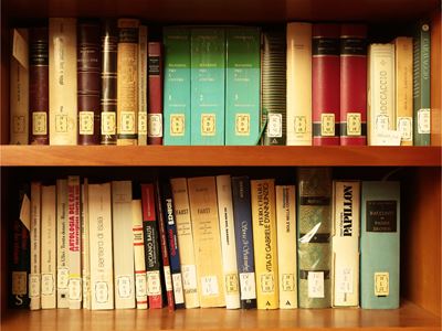 Grande Miscellanea di Libri Moderni