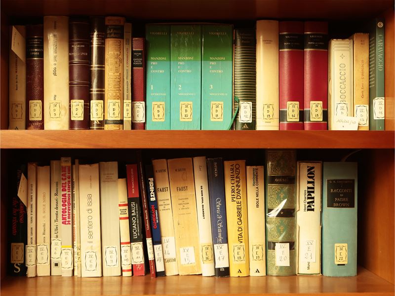 Grande Miscellanea di Libri Moderni
