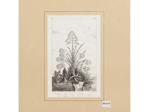 Papiro (1835)