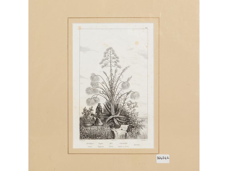 Papiro (1835)