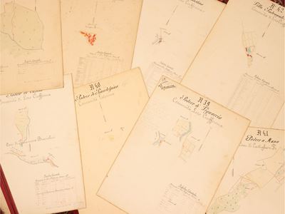 Raccolta di Mappe Catastali della Tenuta del Borro