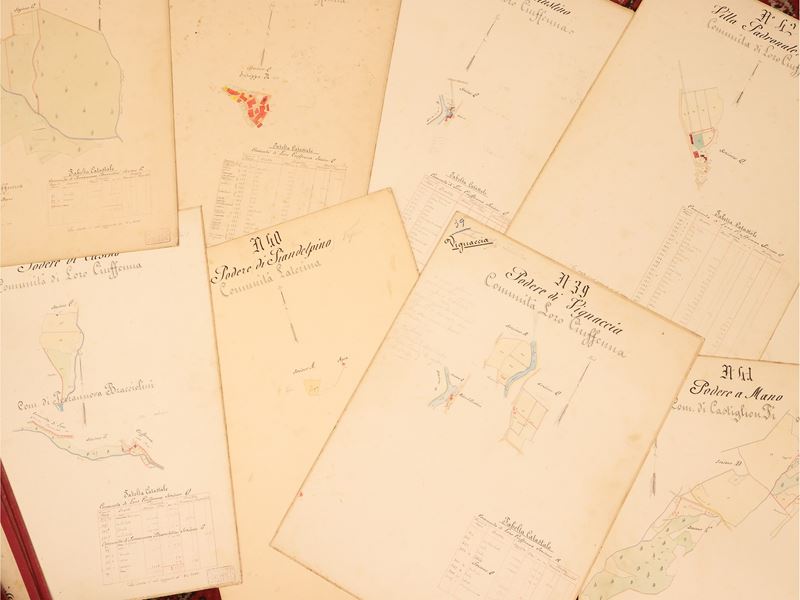 Raccolta di Mappe Catastali della Tenuta del Borro