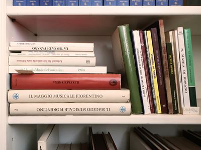 Miscellanea di Libri su Firenze e la Toscana
