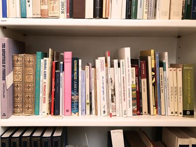 Miscellanea di Libri di Vario Argomento: tra Letteratura, Lingua e Narrativa Italiana e Straniera