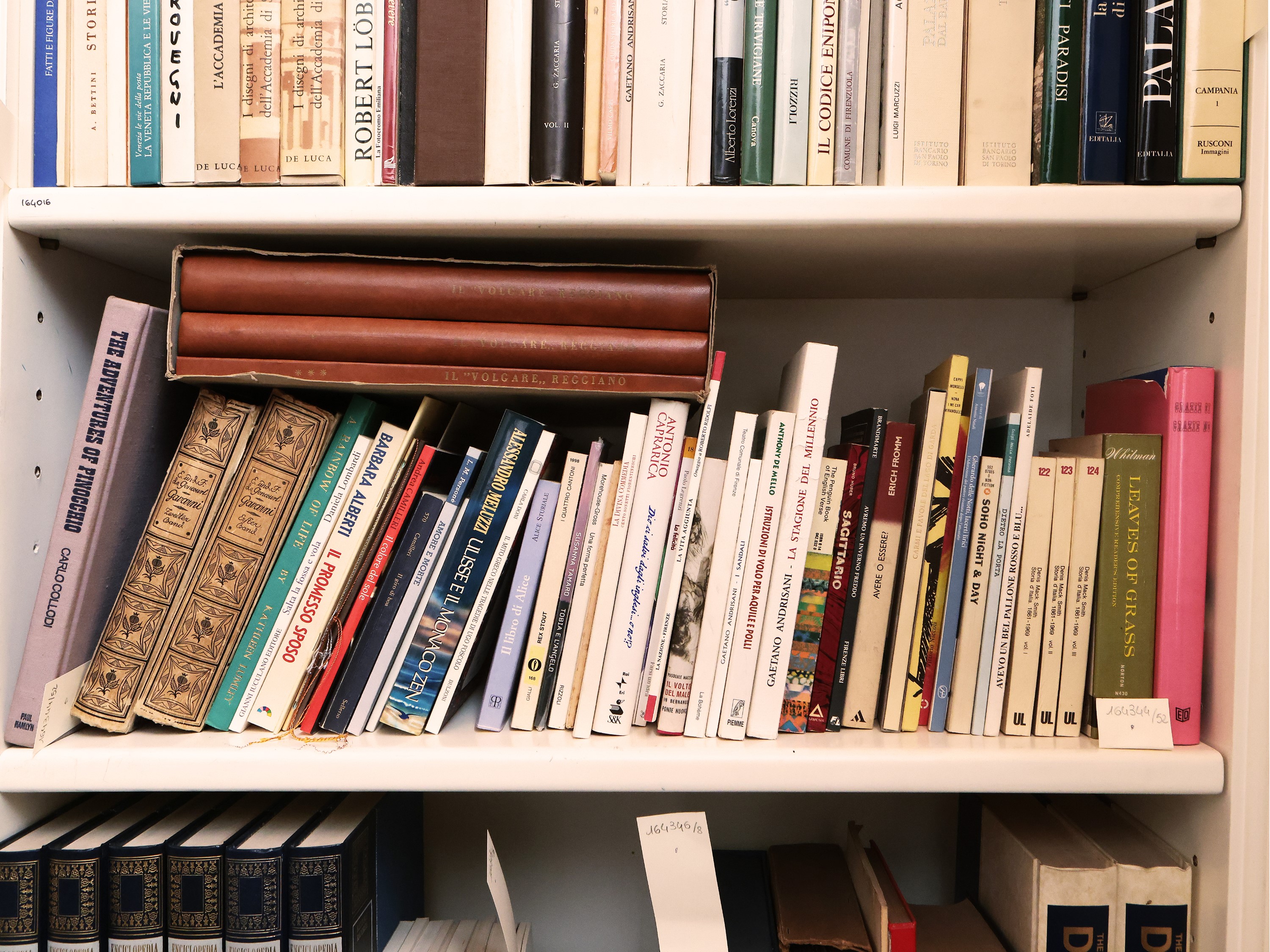Miscellanea di Libri di Vario Argomento: tra Letteratura, Lingua e Narrativa Italiana e Straniera