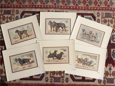 Razze Canine (1907)