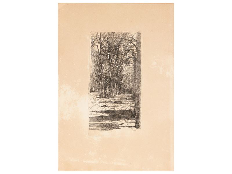 Giovanni Fattori - Un Viale Interno alle Cascine