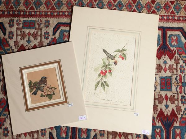 Uccellini su un ramo  (XIX/XX secolo)  - Asta Stampe da regalo - Maison Bibelot - Casa d'Aste Firenze - Milano