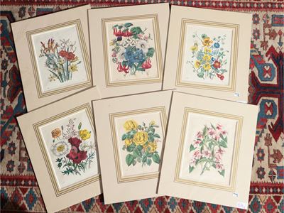 Fiori