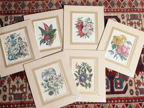 Fiori  (XIX secolo)  - Asta Stampe da regalo - Maison Bibelot - Casa d'Aste Firenze - Milano
