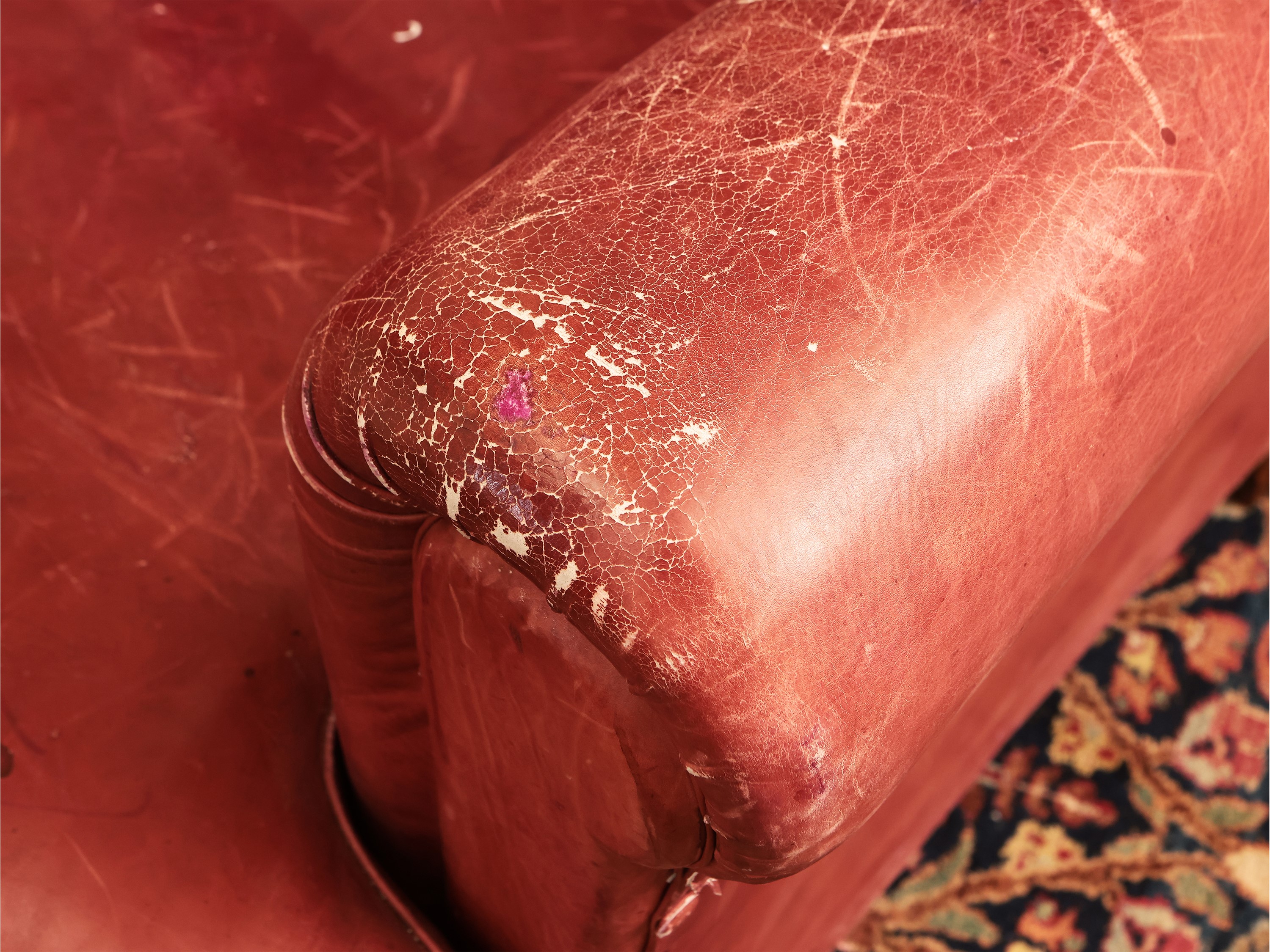 Poltrona in pelle rossa, modello Edoardo, Frau