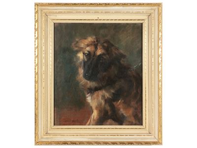 Ritratto di Cane