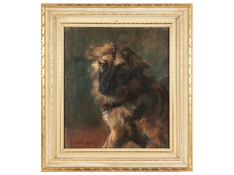 Ritratto di Cane