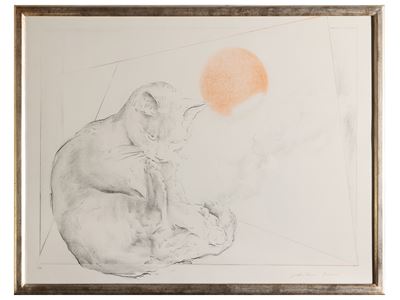 Gatto