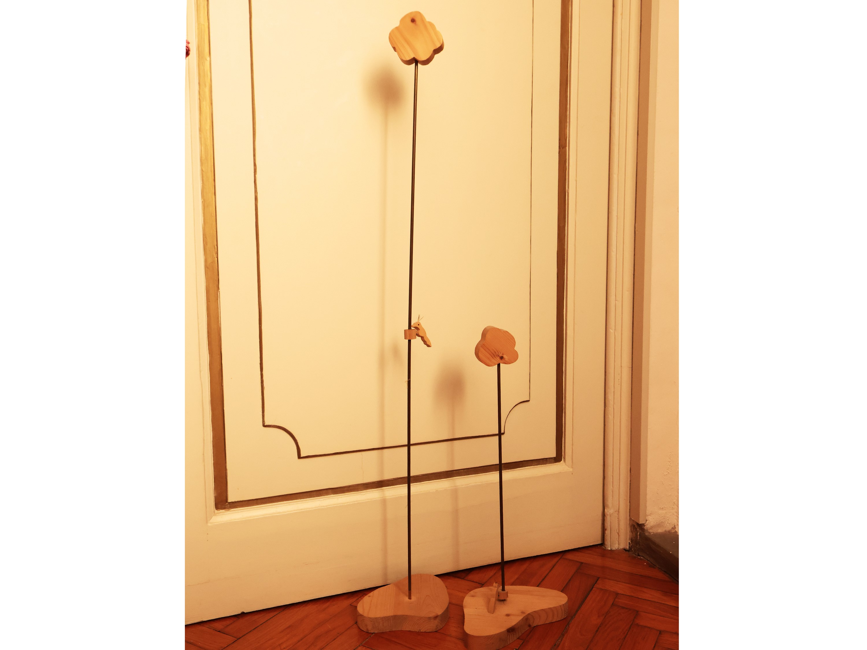 Assortimento di Curiosità Esotiche
