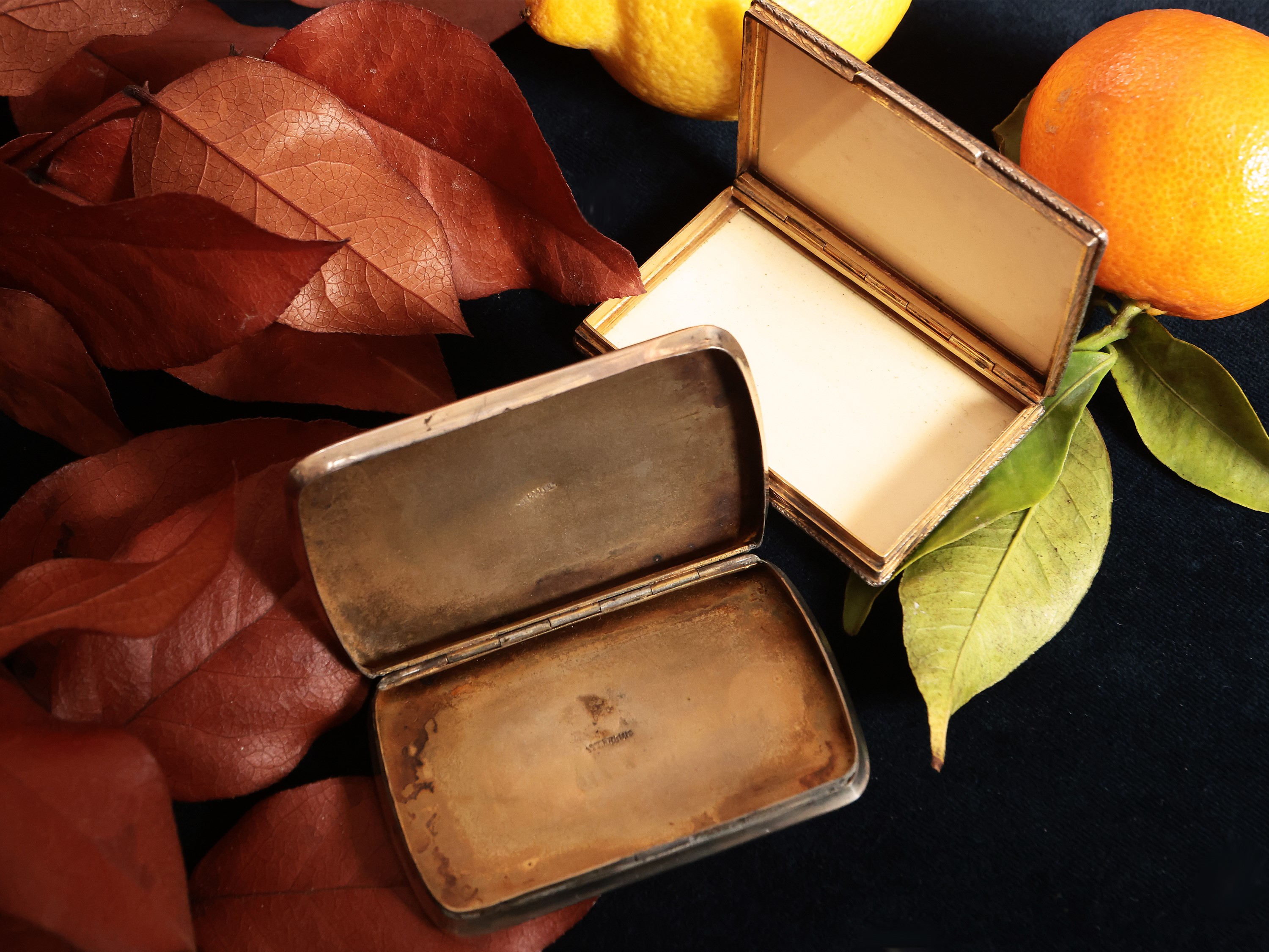 Due tabacchiere in argento