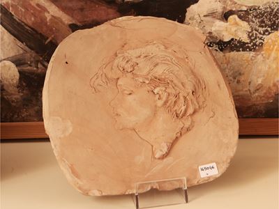 Studio per Testa Virile