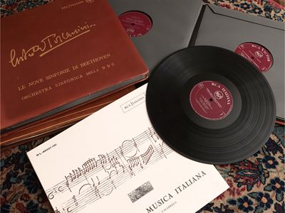 Grande Raccolta di Dischi in Vinile
