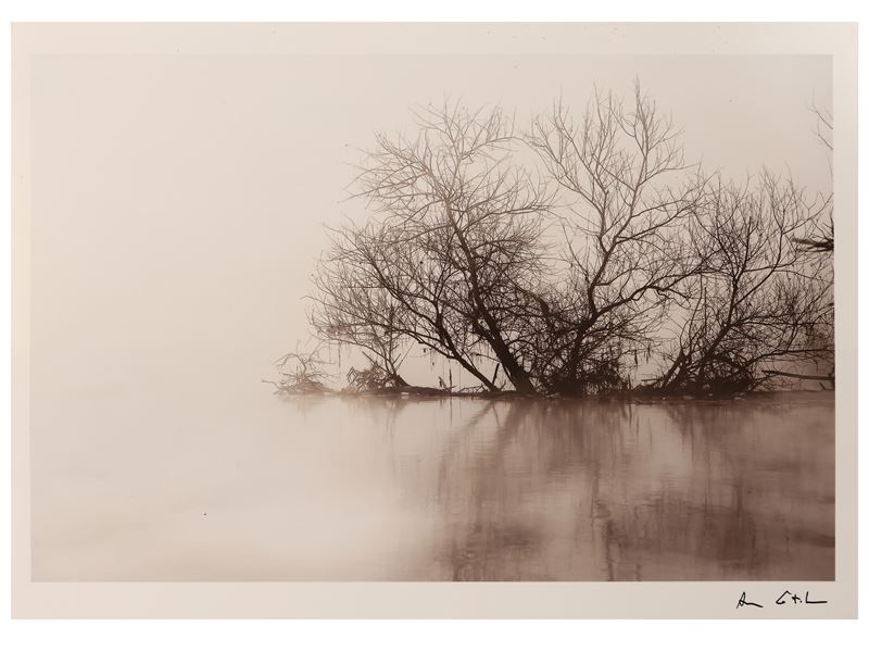 Antonio lo Torto - Laguna, Italia 2005