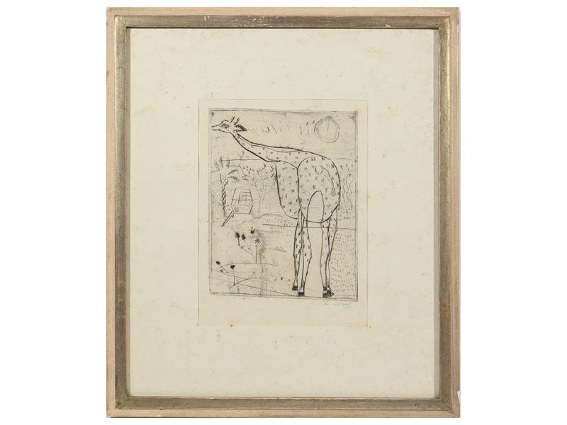 Giraffa 1950