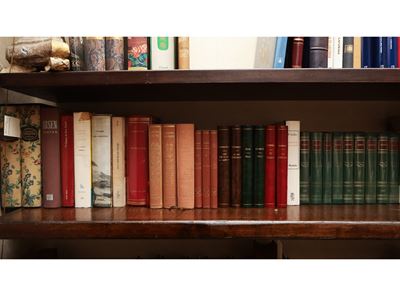 Grande Miscellanea di Libri Moderni di Letteratura Straniera