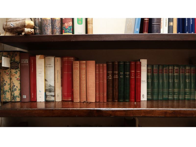 Grande Miscellanea di Libri Moderni di Letteratura Straniera
